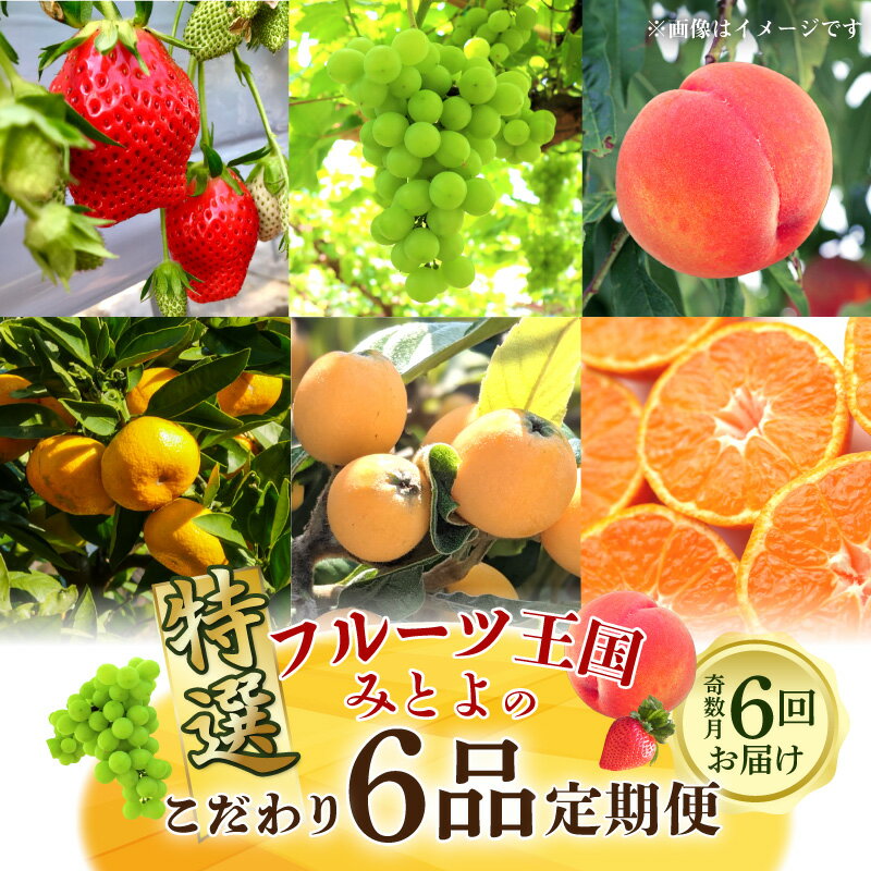【配送不可地域：北海道・沖縄県・離島】フルーツ王国 みとよ 特選 こだわり 6品 (奇数月) 定期便 定期 フルーツ 果物 果実 旬 旬の時期 6回 みかん いちご びわ もも シャインマスカット お取り寄せ フルーツ王国みとよ 香川県 三豊市 送料無料