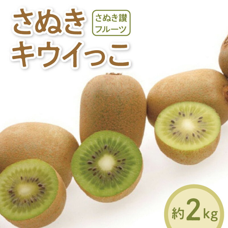 キウイ 【先行予約】 約 2kg 40〜80玉 さぬきキウイっこ 国産 一口サイズ 可愛い 果物 さぬき讃フルーツ オリジナルキウイ 糖度が高く 酸味が少ない お取り寄せ ギフト 香川県 三豊市 讃岐 さぬき 10000円 10,000円 台 返礼品 送料無料 五色青果