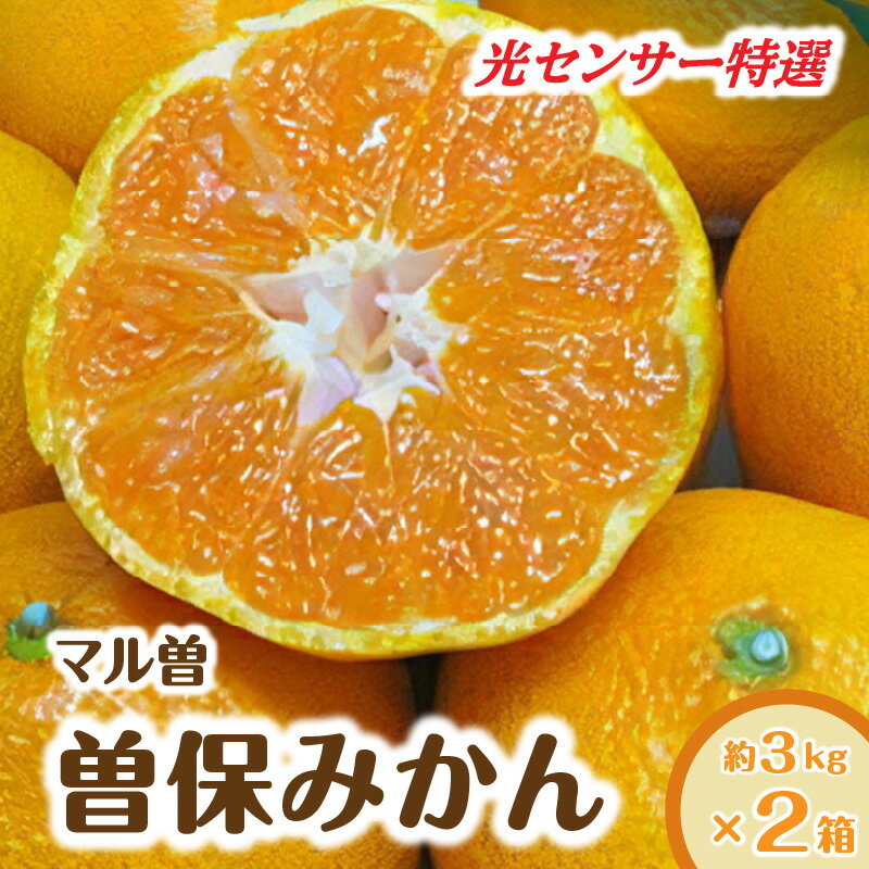 フルーツ みかん 曽保みかん 光センサー選別 約 3kg ×2箱 L〜Sサイズ 先行予約 [ 果物 柑橘 ジューシー 甘い 旬 新鮮 直送 産地直送 予約販売 人気 ギフト お歳暮 贈答用 家庭用 10000 10,000円 台 送料無料 香川県 三豊市 返礼品 五色青果 ]