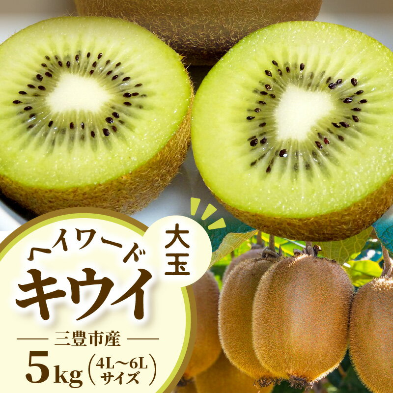 キウイ 三豊市産 ヘイワードキウイ 【大玉】 5kg (4L〜6Lサイズ 40〜35玉前後) [ グリーンキウイ 国産 果物 香川県 三豊市 産地直送 予約販売 数量限定 贈答用 自宅用 ヘイワード ギフト 送料無料 10000 10,000円 台 三豊産 産直 五色青果 ]