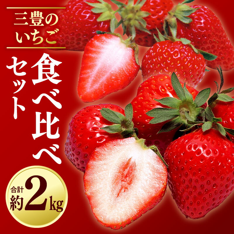 いちご フルーツ デザート 果物 果実 さぬきひめ 女峰 年内発送 三豊 苺 イチゴ 食べ比べ セット 約2kg 250g 4パック ギフト お土産 お取り寄せ ギフト おいしい お土産 フルーツ王国 ご当地 香川県 三豊市 みとよ 20,000円 台 返礼品 送料無料 五色青果