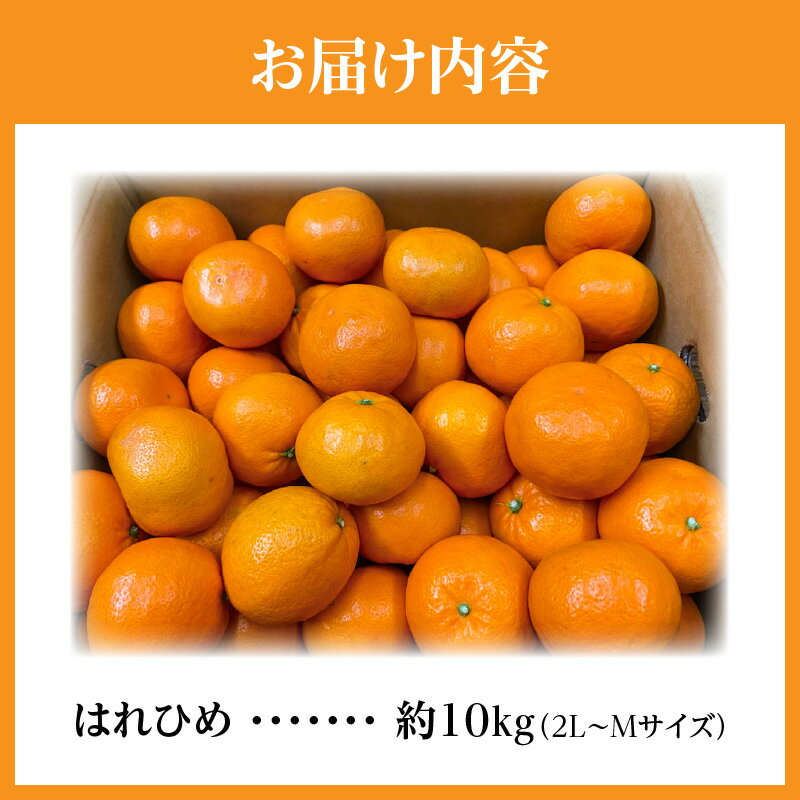 【ふるさと納税】フルーツ みかん 柑橘 希少 はれひめ 約 10kg [ デザート 果物 果実 お土産 ギフト 大容量 オレンジ 内皮ごと フルーツ王国 産地直送 予約販売 数量限定 香川県 三豊市 お取り寄せ 送料無料 五色青果 ] サムネイル3