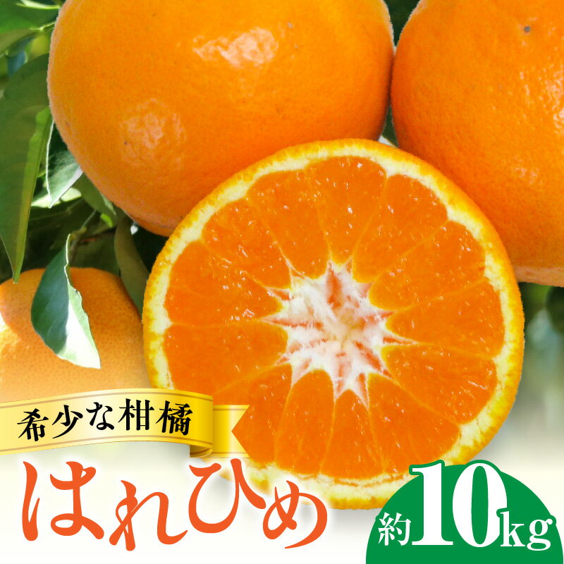 フルーツ みかん 柑橘 希少 はれひめ 約 10kg [ デザート 果物 果実 お土産 ギフト 大容量 オレンジ 内皮ごと フルーツ王国 産地直送 予約販売 数量限定 香川県 三豊市 お取り寄せ 送料無料 五色青果 ]