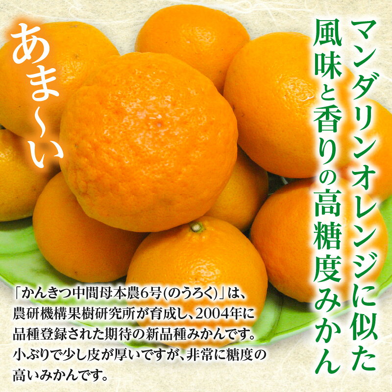 【ふるさと納税】 フルーツ みかん マンダリンオレンジ 高糖度 農6号 みかん のうろく 約 5kg 先行予約 [ 新品種 果物 柑橘 ジューシー 甘い 旬 新鮮 直送 産地直送 予約販売 人気 ギフト お歳暮 贈答用 家庭用 10,000円 台 送料無料 香川県 三豊市 返礼品 五色青果 ] サムネイル2