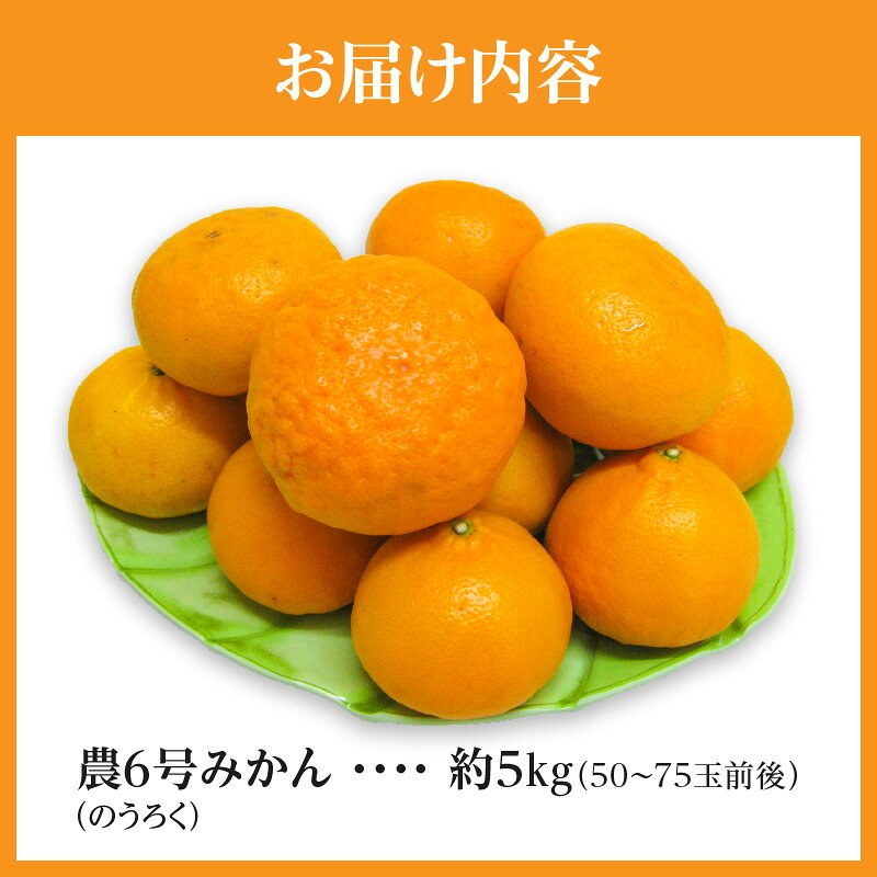 【ふるさと納税】 フルーツ みかん マンダリンオレンジ 高糖度 農6号 みかん のうろく 約 5kg 先行予約 [ 新品種 果物 柑橘 ジューシー 甘い 旬 新鮮 直送 産地直送 予約販売 人気 ギフト お歳暮 贈答用 家庭用 10,000円 台 送料無料 香川県 三豊市 返礼品 五色青果 ] サムネイル3
