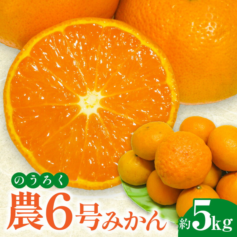フルーツ みかん マンダリンオレンジ 高糖度 農6号 みかん のうろく 約 5kg 先行予約 [ 新品種 果物 柑橘 ジューシー 甘い 旬 新鮮 直送 産地直送 予約販売 人気 ギフト お歳暮 贈答用 家庭用 10,000円 台 送料無料 香川県 三豊市 返礼品 五色青果 ]