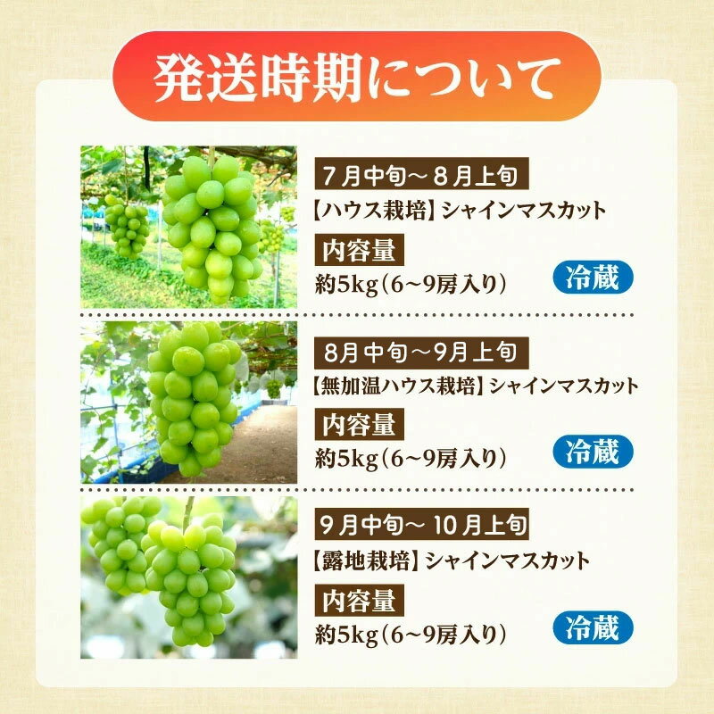 【ふるさと納税】 シャインマスカット ギフト 大箱シャインマスカット3ヶ月連続定期便 [ 定期 果物定期便 果物 フルーツ定期便 フルーツ マスカット デザート ブドウ お取り寄せギフト 甘い 人気 香川県 三豊市 讃岐 200000 200,000円 台 ランキング 人気 返礼品 五色青果 ] サムネイル3