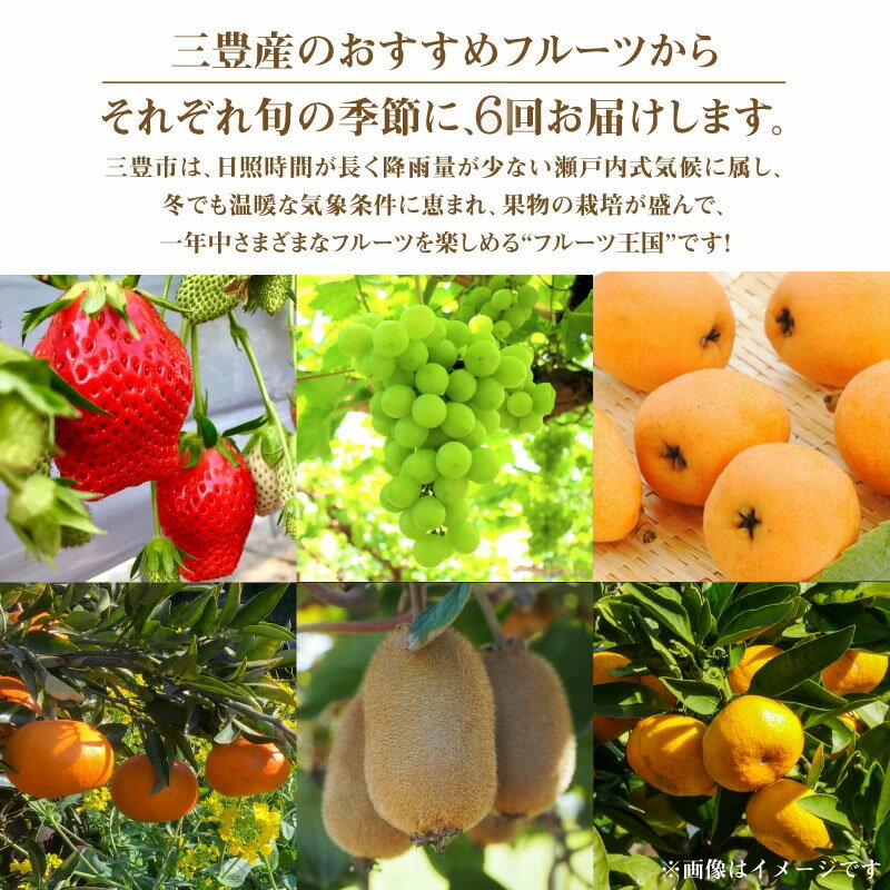 【ふるさと納税】フルーツ 定期 お取り寄せ ギフト フルーツ定期便 フルーツ王国みとよの特選こだわり6品 [ 定期便 旬 果物 果実 旬 デザート 食べごろ みかん いちご びわ マスカット キウイ キウイフルーツ お取り寄せ 15,000円 香川県 三豊市 讃岐 さぬき 五色青果 ] サムネイル2