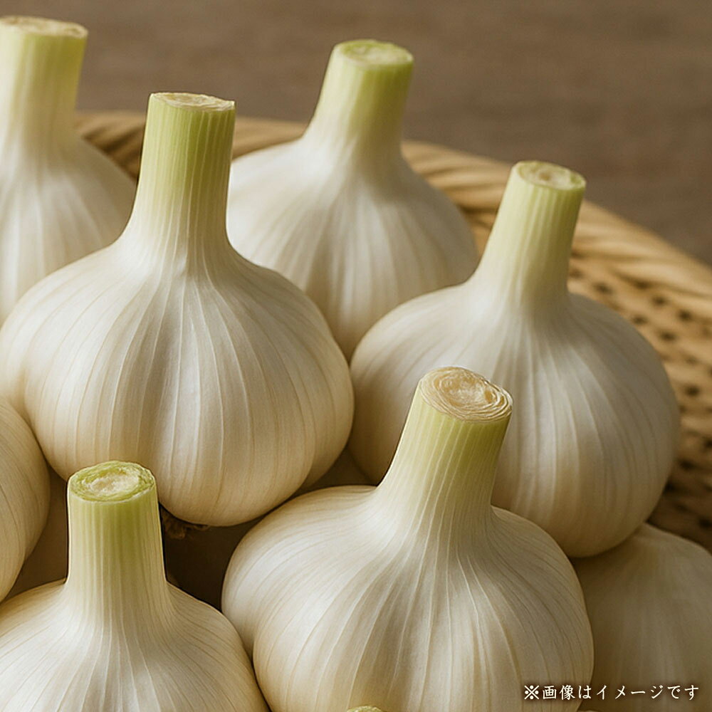 ニンニク 生 【新物】生にんにく 約1kg 香川県産 国産 ニンニク 新鮮 採れたて 無添加 農家直送 野菜 料理 調味料 薬味 健康 食材 スタミナ グルメ おいしい 人気 ご当地 地元 香川県 三豊市 みとよ市 10,000円 以下 返礼品 送料無料 五色青果
