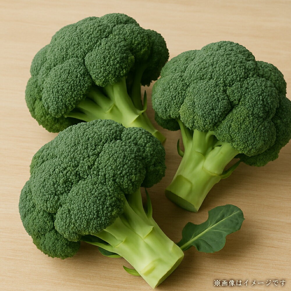 ブロッコリー ご家庭用ブロッコリー 約4.5kg [ 緑野菜 国産野菜 三豊産 新鮮野菜 訳あり野菜 サイズ不揃い 産地直送 旬野菜 野菜セット 家庭用野菜 大容量野菜 常備野菜 温野菜 送料無料 返礼品 10000 10,000円 台 香川県 三豊市 五色青果 ]