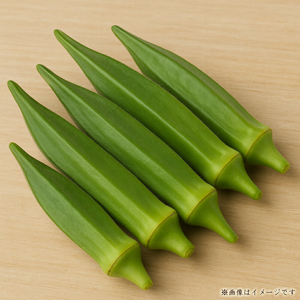 オクラ 約700g～3kg [ 夏野菜 新鮮野菜 国産野菜 香川県産 三豊産 旬野菜 産地直送 朝採れ野菜 フレッシュ野菜 粘り野菜 シャキッと食感 料理素材 天ぷら素材 炒め物素材 刻みオクラ 冷奴のせ 送料無料 返礼品 10000 10,000円 台 香川県 三豊市 五色青果 ]
