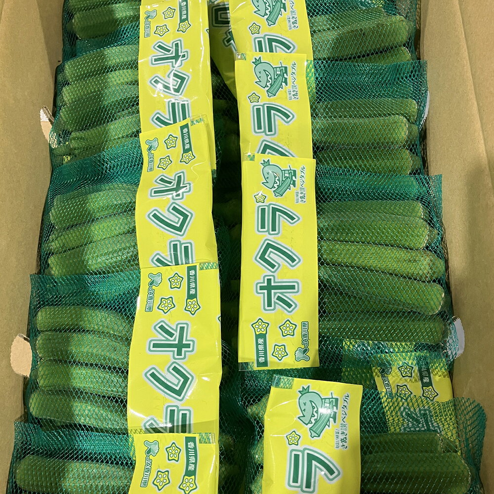 【ふるさと納税】 オクラ 約700g～3kg [ 夏野菜 新鮮野菜 国産野菜 香川県産 三豊産 旬野菜 産地直送 朝採れ野菜 フレッシュ野菜 粘り野菜 シャキッと食感 料理素材 天ぷら素材 炒め物素材 刻みオクラ 冷奴のせ 送料無料 返礼品 10000 10,000円 台 香川県 三豊市 五色青果 ] - 画像3