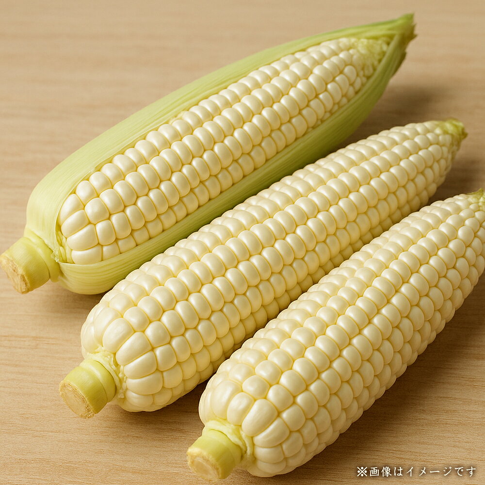 とうもろこし ご家庭用細物ホワイトコーン 約3.5kg [ 白いとうもろこし スイートコーン 旬野菜 産地直送 新鮮野菜 国産野菜 三豊産 野菜セット 甘い 生 野菜 旬 新鮮 採れたて 食品 甘味 10000 10,000円 以下 送料無料 香川県 三豊市 返礼品 五色青果 ]