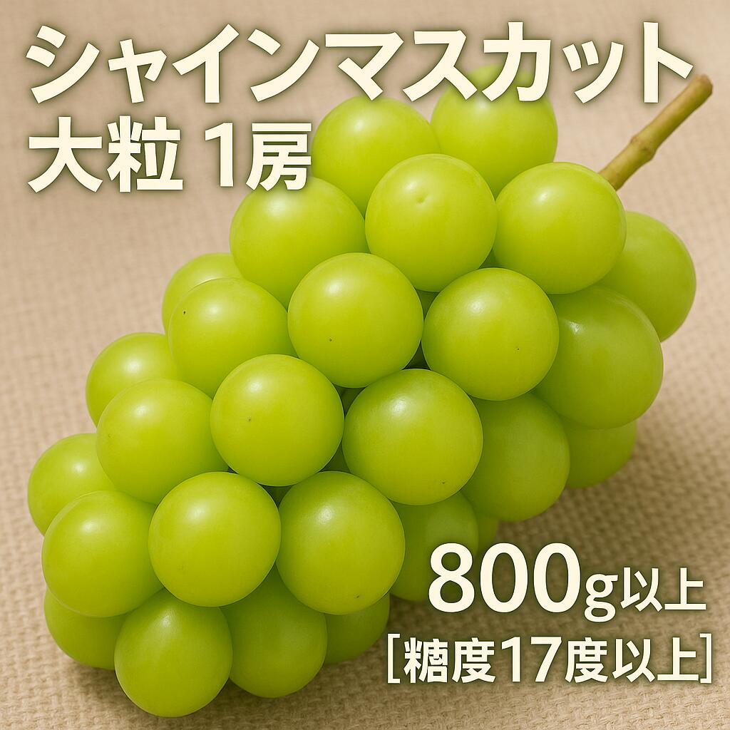 シャインマスカット ギフト 【先行予約】 大粒 1房【800g以上】【糖度17度以上】皮 旬 時期 糖度 香川 季節 種なし 香川県 三豊市 返礼品 甘い 人気 果物 フルーツ マスカット ぶどう 葡萄 ブドウ お取り寄せ ギフト 10000 10,000円 台 マミィギフト