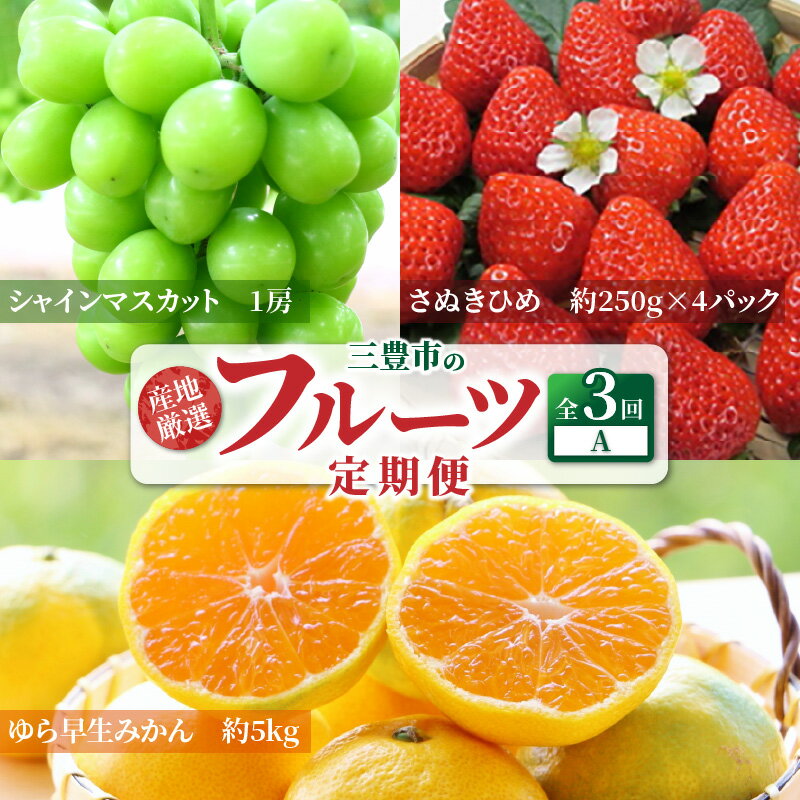 【ふるさと納税】【配送不可地域：北海道・沖縄県・離島】フルーツ 定期便 3回 A いちご さぬきひめ シャインマスカット ぶどう マスカット みかん 早生みかん 送料無料 産地直送 食品 果物 デザート ゆら早生 お取り寄せ サムネイル2