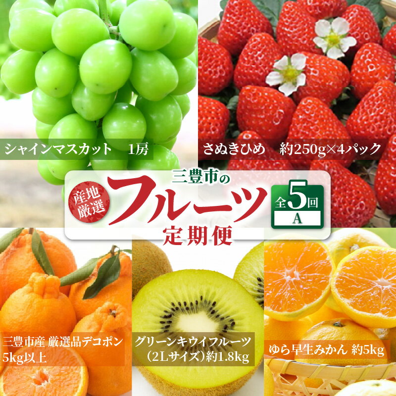 【ふるさと納税】【配送不可地域：北海道・沖縄県・離島】フルーツ 定期便 A 5回 旬の果物 送料無料 産地直送 厳選 お取り寄せ ギフト 三豊 さぬきひめ いちご デコポン シャインマスカット みかん ゆら早生みかん キウイ グリーンキウイフルーツ 秋 旬 サムネイル2