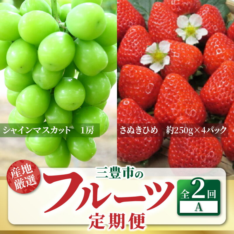 【ふるさと納税】【配送不可地域：北海道・沖縄県・離島】定期便 フルーツ 2回 お届け シャインマスカット 大粒 1房 800g以上 糖度17度以上 さぬきひめ いちご 約1kg 以上 旬の果物 お取り寄せ 市場直送 フルーツ王国 三豊 三豊市産 送料無料 秋 旬 サムネイル2