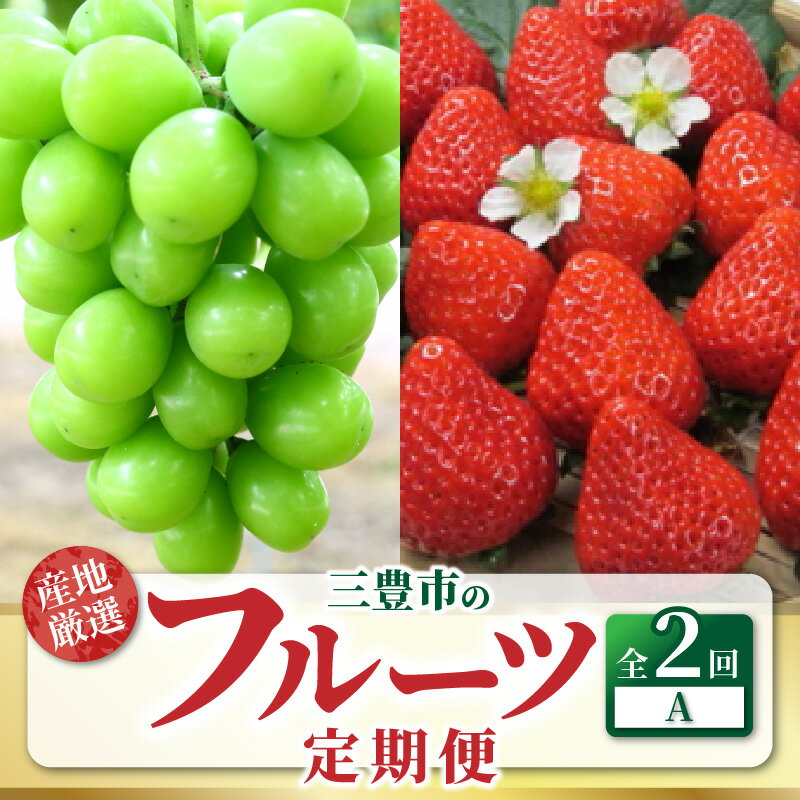 【配送不可地域：北海道・沖縄県・離島】定期便 フルーツ 2回 お届け シャインマスカット 大粒 1房 800g以上 糖度17度以上 さぬきひめ いちご 約1kg 以上 旬の果物 お取り寄せ 市場直送 フルーツ王国 三豊 三豊市産 送料無料 秋 旬