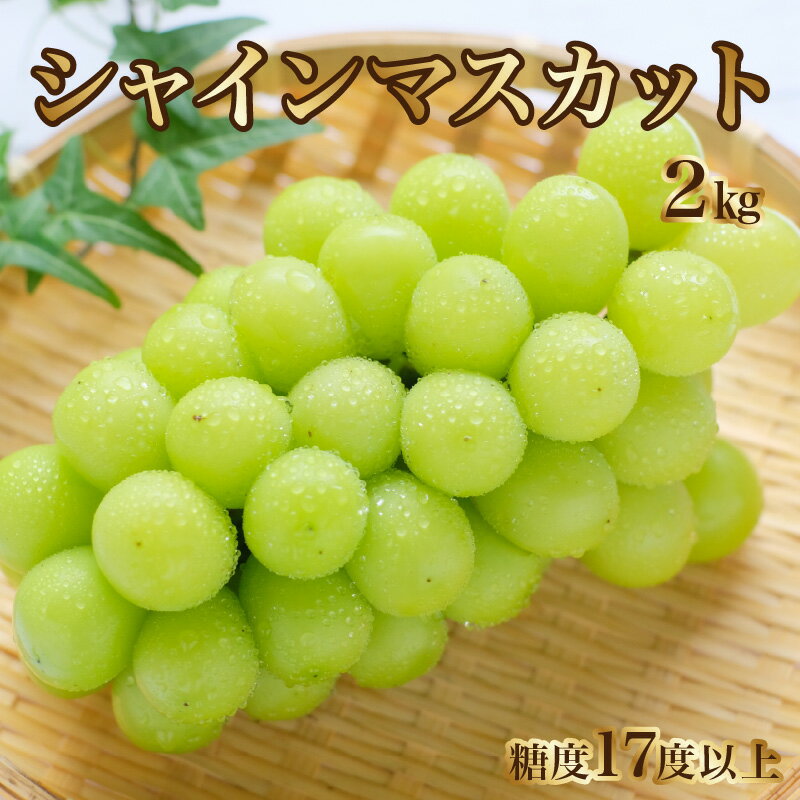 シャインマスカット ギフト 【先行予約】 シャインマスカット2kg（3房）【700g以上】【糖度17度以上】 大粒 贈答用 ギフト お取り寄せ 国産 旬 新鮮 産地直送 高級 ぶどう 葡萄 ブドウ 皮ごと 種なし 香川県 三豊市 30000 30,000円 台 納税 マミィギフト