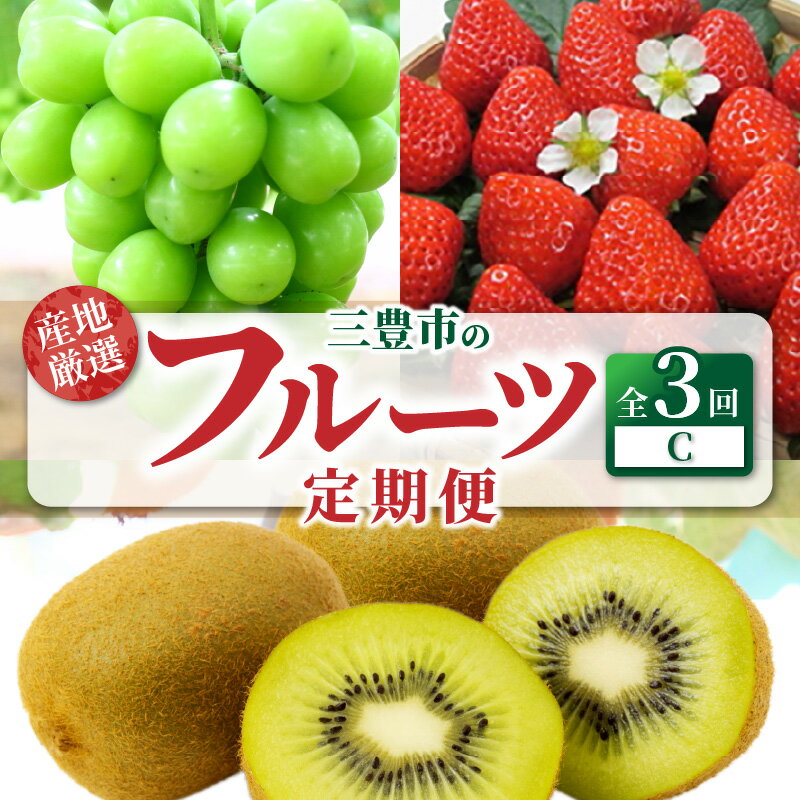 フルーツ 定期 三豊市 産地厳選三豊のフルーツ3回定期便C シャインマスカット 大粒 糖度 17度以上 追熟品 グリーンキウイフルーツ キウイ いちご 苺 人気 ランキング ギフト お取り寄せ 香川県 三豊市 ご当地 40000円 40,000円 台 返礼品 マミィギフト