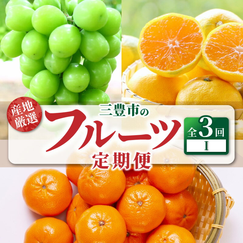 フルーツ定期便 3回 フルーツ 定期便 I [ シャインマスカット 1房 ゆら早生みかん 小原紅早生みかん みかん 果物 甘くて濃い 濃厚 オリジナルみかん 旬の季節にお届け 香川県 三豊市 お取り寄せ 送料無料 秋 旬 40000 40,000円 台 マミィギフトカガワ ]