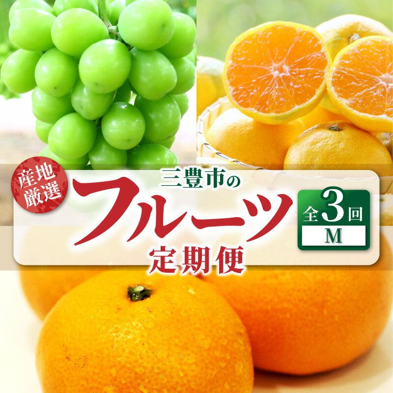 フルーツ 定期 人気 定期便 3回 フルーツ シャインマスカット 1房 糖度チェック 実施 ゆら早生みかん 果汁たっぷり 宮川早生みかん S〜Lサイズ 甘み 酸味 旬の季節 お届け 香川県 三豊市 40,000円 台 返礼品 お取り寄せ 送料無料 マミィギフト