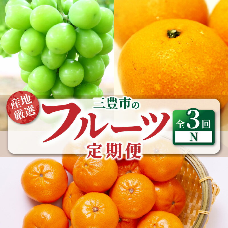 フルーツ 定期便 3回 フルーツ シャインマスカット 1房 糖度チェック 実施 小原紅早生みかん 甘くて濃い 濃厚 オリジナルみかん 宮川早生みかん S〜Lサイズ 甘み 旬の季節 果物 瀬戸内 香川県 三豊市 40000円 40,000円 台 返礼品 送料無料 マミィギフト