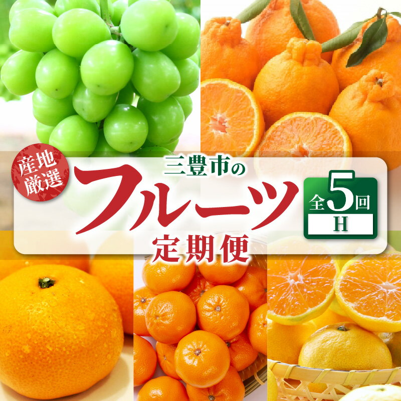 フルーツ定期便 5回 H [ フルーツ 定期便 シャインマスカット ゆら早生みかん 宮川早生みかん 濃厚 S〜Lサイズ 小原紅早生みかん S〜Lサイズ ブドウ 葡萄 蜜柑 ミカン 果物 瀬戸内 香川県 三豊市 70000円 70,000円 台 返礼品 送料無料 マミィギフト ]