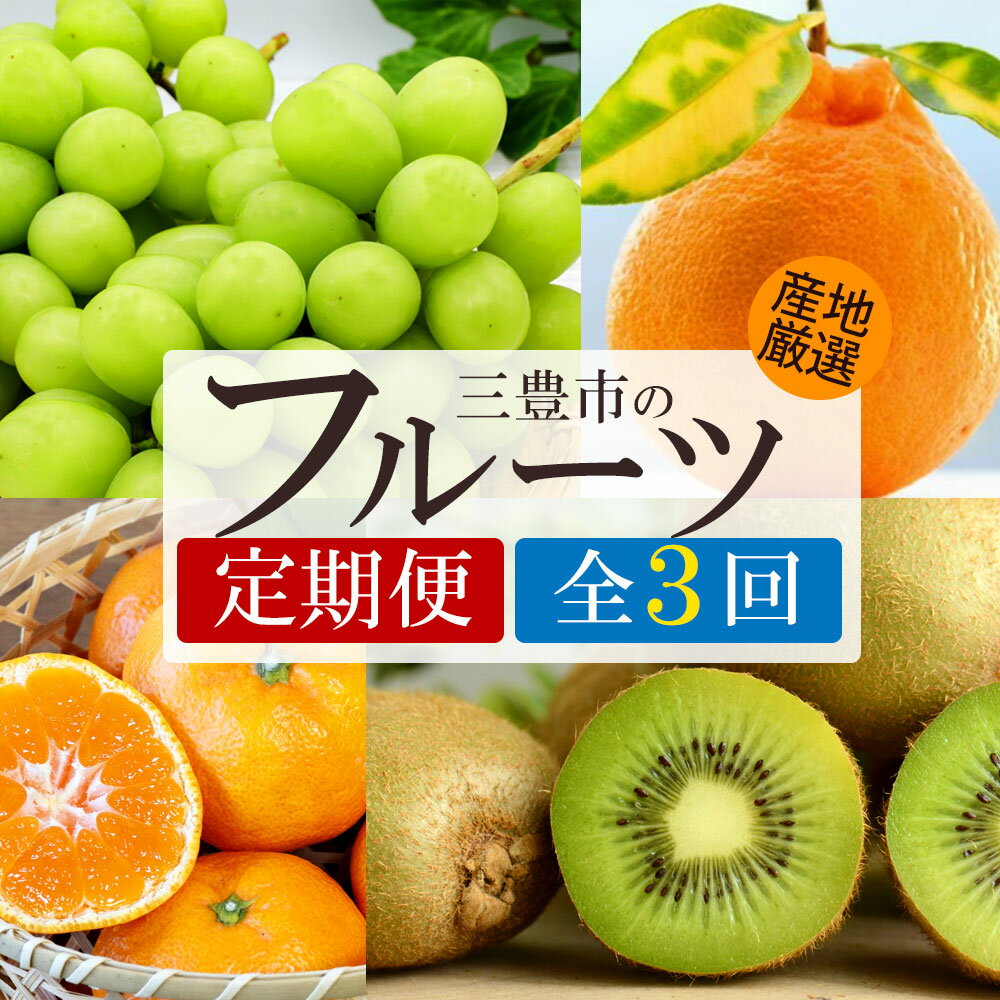フルーツ 定期便 3回 シャインマスカットと グリーンキウイ・旬のフルーツ便 [ マスカット 柑橘 果物 果実 デザート スイーツ 送料無料 人気 ランキング ギフト おいしい 香川県 三豊市 ご当地 讃岐 さぬき 30000円 30,000円 台 返礼品 人気 マミィギフト ]