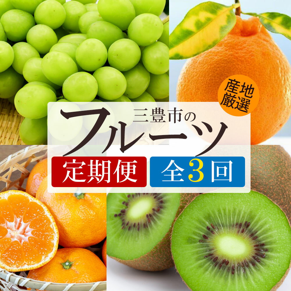 フルーツ定期便 3回 シャインマスカット と デコポン・旬のフルーツ便 [ フルーツ 定期便 マスカット ぶどう 葡萄 柑橘 果物 果実 デザート スイーツ 旬 送料無料 30000 30,000円 台 香川県 三豊市 返礼品 人気 マミィギフト ]