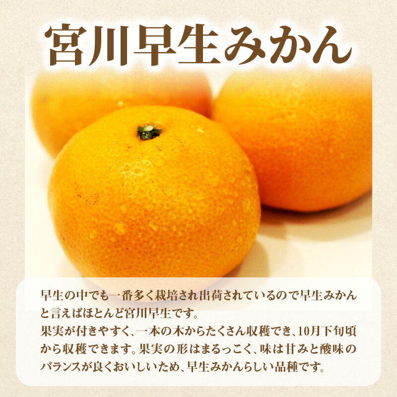 【ふるさと納税】 みかん 定期便 4回 H [ フルーツ ゆら早生みかん 小原紅早生みかん 宮川早生みかん S〜Lサイズ 三豊市産 厳選品 デコポン 旬の季節 お届け 瀬戸内 瀬戸内 フルーツ 果物 香川県 三豊市 讃岐 さぬき 60000 60,000円 台 返礼品 送料無料 マミィギフト ] サムネイル3
