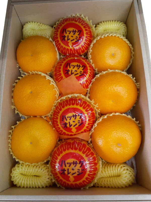 はっさく 八朔 完熟 ハッサク 約 3.7kg 旬の柑橘フルーツ [ 国産 柑橘類 人気 フルーツ 果物 くだもの 家庭用 贈答用 先行予約 送料無料 冬みかん 産地直送 ビタミンC 返礼品 10,000円 台 産地直送 お取り寄せ 香川県 三豊市 お取り寄せ ギフト 造田商店 ]