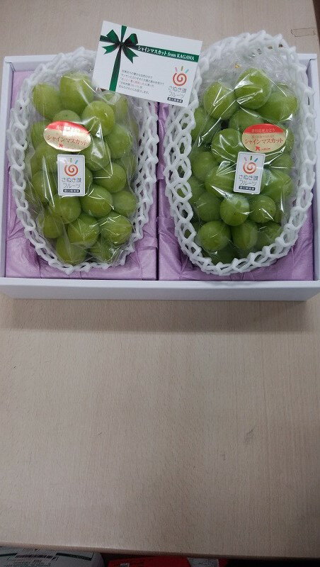 【ふるさと納税】 シャインマスカット ギフト 大房2房 化粧箱入り 【さぬき讃フルーツ認定】 先行予約 2026年 [ 大粒 高級 ぶどう 葡萄 ブドウ 皮ごと フルーツ 果物 贈答 ギフト お取り寄せ 国産 旬 新鮮 産地直送 香川県 三豊市 30000 30,000円 台 返礼品 造田商店 ］ サムネイル3