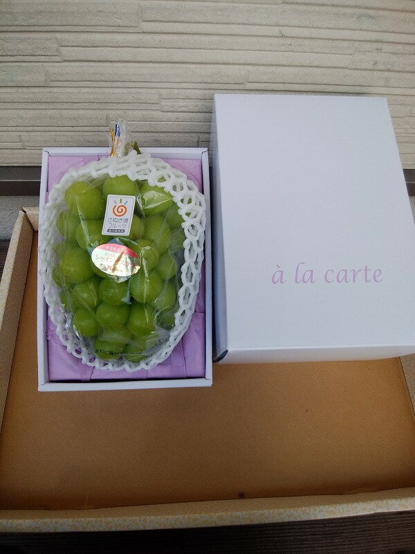 【ふるさと納税】 シャインマスカット 1房 【さぬき讃フルーツ認定】 加温ハウス 化粧箱入り [ 大粒 高級 ぶどう 葡萄 ブドウ 種なし 皮ごと フルーツ 果物 贈答用 ギフト 人気 お取り寄せ 国産 旬 新鮮 産地直送 香川県 三豊市 20000 20,000円 台 返礼品 造田商店 ］ サムネイル3