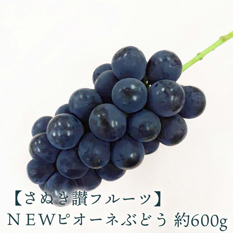 NEWピオーネ 約600g さぬき讃フルーツ認定 先行予約 [ 大粒 種なし 皮ごと食べられる 高級ぶどう 葡萄 果物 フルーツ 人気 ギフト 贈答用 家庭用 お取り寄せ グルメ 産地直送 新鮮 甘い ジューシー 香川県 三豊市 10,000円 台 返礼品 造田商店 ]