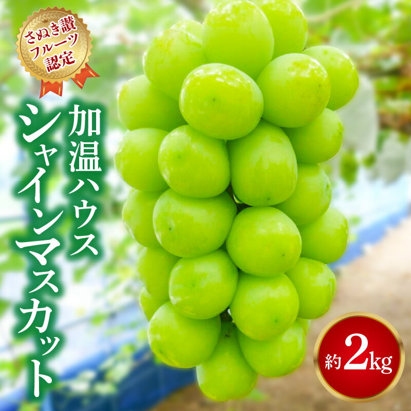 シャインマスカット 約2kg 【さぬき讃フルーツ認定】 加温ハウス [ 大粒 高級 ぶどう 葡萄 ブドウ 種なし 皮ごと フルーツ 果物 贈答用 ギフト 人気 おすすめ 詰合せ お取り寄せ 国産 旬 新鮮 産地直送 香川県 三豊市 30000 30000円 台 返礼品 造田商店 ］