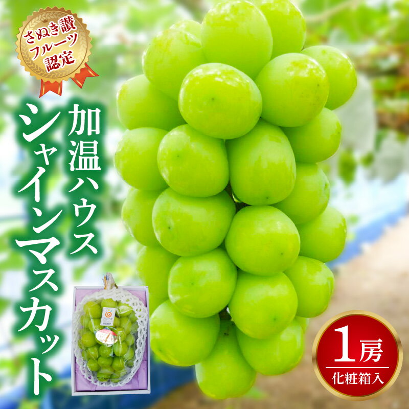 シャインマスカット 1房 【さぬき讃フルーツ認定】 加温ハウス 化粧箱入り [ 大粒 高級 ぶどう 葡萄 ブドウ 種なし 皮ごと フルーツ 果物 贈答用 ギフト 人気 お取り寄せ 国産 旬 新鮮 産地直送 香川県 三豊市 20000 20,000円 台 返礼品 造田商店 ］