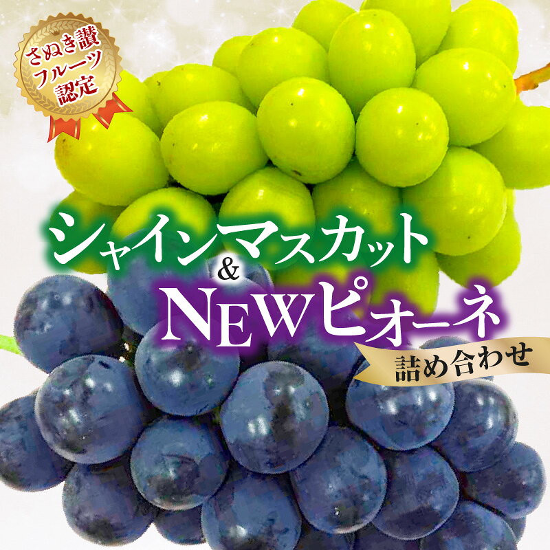 【さぬき讃フルーツ認定】 シャインマスカット＆NEWピオーネ 詰め合わせ 約1kg [ 大粒 種なし 高級 ぶどう 葡萄 ジューシー 皮ごと食べられる フルーツ 果物 贈答用 ギフト お取り寄せ 産地直送 送料無料 香川県 三豊市 20000 20,000円 台 返礼品 造田商店 ]
