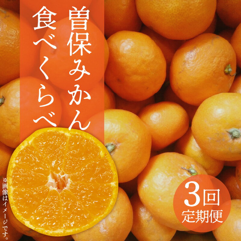 みかん 曽保みかん 食べ比べ 3回 定期便 3kg 5kg 13kg 詰め合わせ [ フルーツ 果物 国産 旬 お取り寄せ グルメ 高級 甘い 人気 ギフト 贈答用 家庭用 秋 冬 季節限定 50000円 送料無料 香川県 三豊市 返礼品 造田商店 ]
