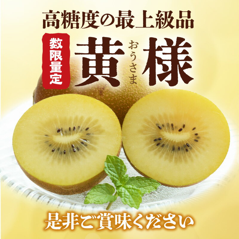 【ふるさと納税】【数量限定】 キウイ キウイフルーツ さぬきゴールドキウイ「黄様」16個入り [ 高糖度 大玉 フルーツ 果物 黄肉 甘い 人気 おすすめ 美味しい 贈答用 ギフト お取り寄せ グルメ 国産 送料無料 香川県 三豊市 返礼品 造田商店 ] サムネイル3