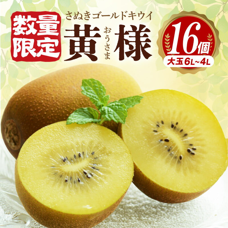 【数量限定】 キウイ キウイフルーツ さぬきゴールドキウイ「黄様」16個入り [ 高糖度 大玉 フルーツ 果物 黄肉 甘い 人気 おすすめ 美味しい 贈答用 ギフト お取り寄せ グルメ 国産 送料無料 香川県 三豊市 返礼品 造田商店 ]
