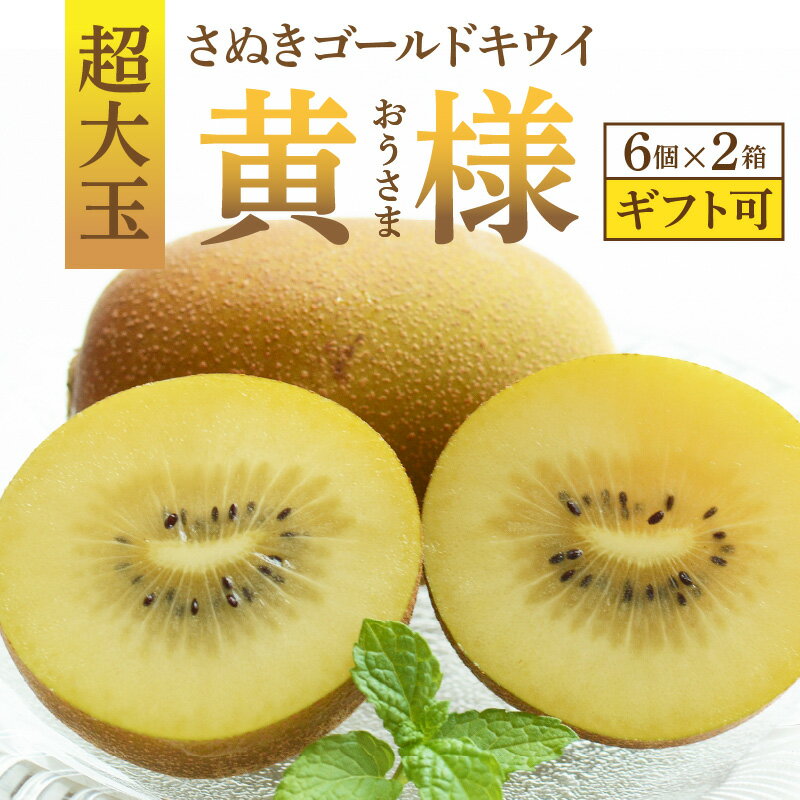 キウイ キウイフルーツ さぬきゴールドキウイ「黄様」超大玉6個入り×2箱 【数量限定】 [ 高糖度 大玉 フルーツ 果物 黄肉 甘い 人気 おすすめ 美味しい 贈答用 ギフト お取り寄せ グルメ 国産 送料無料 香川県 三豊市 返礼品 造田商店 ]