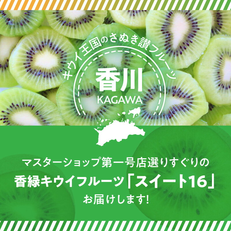 【ふるさと納税】 キウイ 香緑キウイ 期間限定 約 1.2kg 認定品 最上級品 スイート16 キウイフルーツ 1箱 三豊市 お取り寄せフルーツ 食品 食べ物 果物 フルーツ デザート おやつ 朝食 国産 香川産 送料無料10000円 10,000円 台 ご当地 返礼品 お取り寄せ ギフト 造田商店 サムネイル2