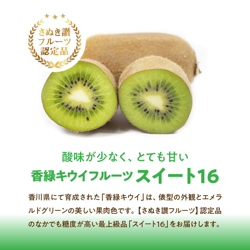 【ふるさと納税】 キウイ 香緑キウイ 期間限定 約 1.2kg 認定品 最上級品 スイート16 キウイフルーツ 1箱 三豊市 お取り寄せフルーツ 食品 食べ物 果物 フルーツ デザート おやつ 朝食 国産 香川産 送料無料10000円 10,000円 台 ご当地 返礼品 お取り寄せ ギフト 造田商店 サムネイル3