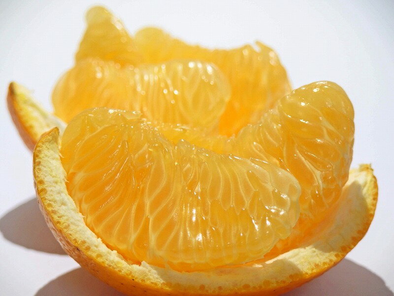 【ふるさと納税】 はっさく 八朔 完熟 ハッサク 約 3.7kg 旬の柑橘フルーツ [ 国産 柑橘類 人気 フルーツ 果物 くだもの 家庭用 贈答用 先行予約 送料無料 冬みかん 産地直送 ビタミンC 返礼品 10,000円 台 産地直送 お取り寄せ 香川県 三豊市 お取り寄せ ギフト 造田商店 ] サムネイル2