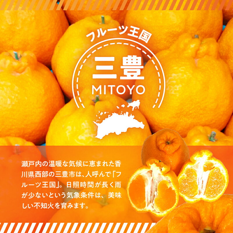 【ふるさと納税】【先行予約】 みかん 不知火 約5kg 高糖度ジューシー柑橘 [ フルーツ 果物 デコポン 長期貯蔵 高品質 厳選 人気 逸品 香川県 三豊市 特産品 国産 甘い 贈答用 ギフト 家庭用 送料無料 数量限定 返礼品 造田商店 ] サムネイル3