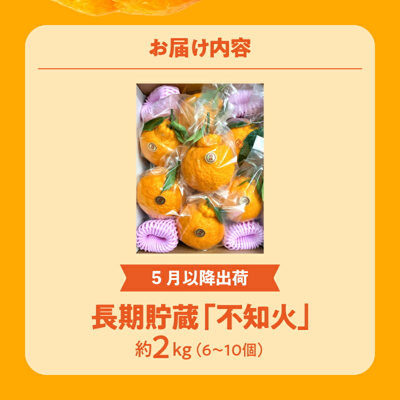 【ふるさと納税】【先行予約】 みかん 不知火 約2kg 数量限定 [ しらぬい 高糖度ジューシー柑橘 フルーツ 果物 デコポン 長期貯蔵 高品質 厳選 人気 逸品 香川県 三豊市 特産品 国産 甘い 贈答用 ギフト 家庭用 送料無料 返礼品 10000 10,000円 台 造田商店 ] サムネイル2