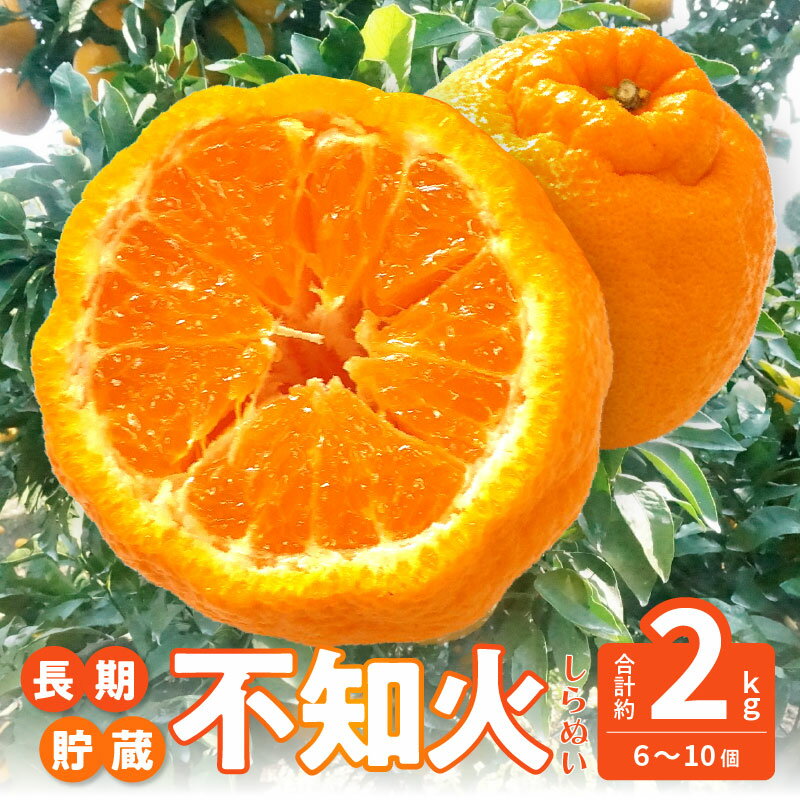 【先行予約】 みかん 不知火 約2kg 数量限定 [ しらぬい 高糖度ジューシー柑橘 フルーツ 果物 デコポン 長期貯蔵 高品質 厳選 人気 逸品 香川県 三豊市 特産品 国産 甘い 贈答用 ギフト 家庭用 送料無料 返礼品 10000 10,000円 台 造田商店 ]