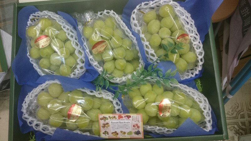 【ふるさと納税】 シャインマスカット 約2kg 【さぬき讃フルーツ認定】 加温ハウス [ 大粒 高級 ぶどう 葡萄 ブドウ 種なし 皮ごと フルーツ 果物 贈答用 ギフト 人気 おすすめ 詰合せ お取り寄せ 国産 旬 新鮮 産地直送 香川県 三豊市 30000 30000円 台 返礼品 造田商店 ］ サムネイル3