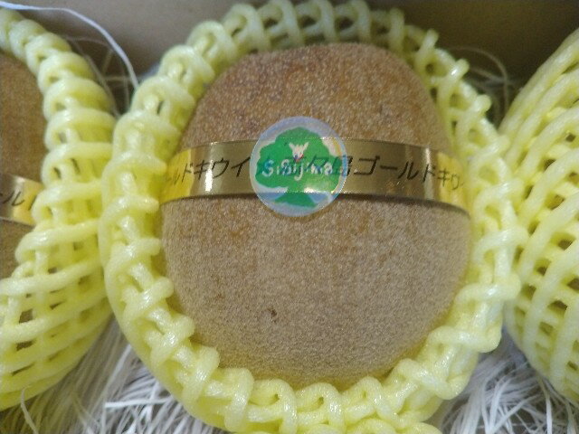 【ふるさと納税】 キウイ キウイフルーツ 志々島ゴールドキウイ 約1kg 【数量限定】 [ 高糖度 大玉 フルーツ 果物 黄肉 甘い 人気 おすすめ 美味しい 贈答用 ギフト お取り寄せ グルメ 国産 送料無料 香川県 三豊市 返礼品 10000 10,000円 台 志々島オーシャンズ ] サムネイル2